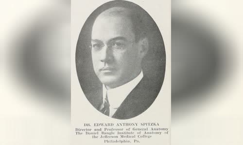 Edward Anthony Spitzka