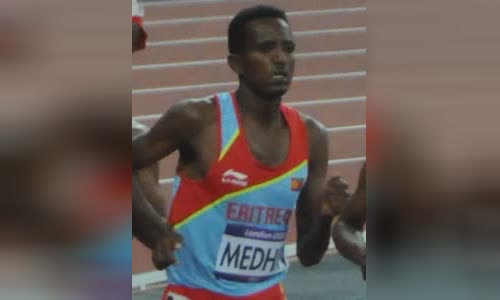 Teklemariam Medhin