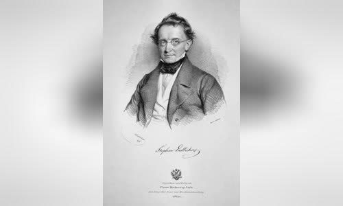 Stephan Endlicher
