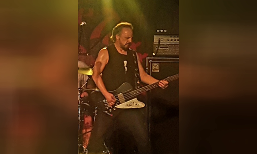 Mark Evans (musician)