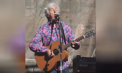 Robyn Hitchcock