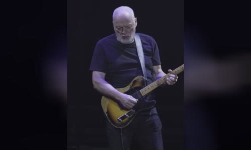 David Gilmour