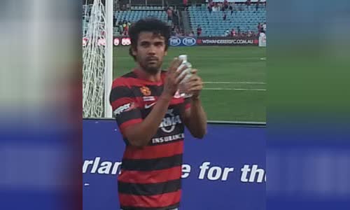 Nikolai Topor-Stanley