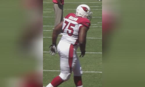 Levi Brown (offensive tackle)