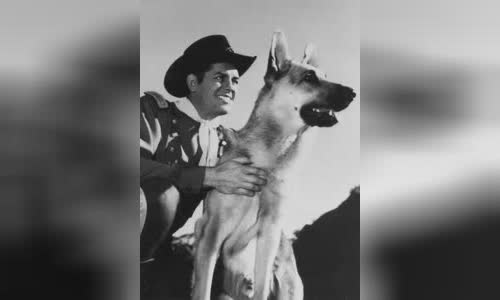 James Brown (actor)