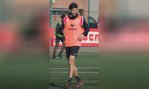 Nikola Gulan