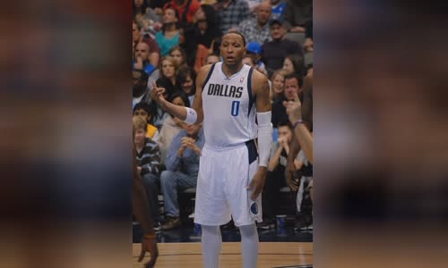 Shawn Marion