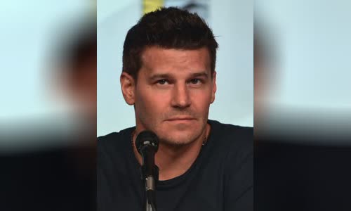 David Boreanaz