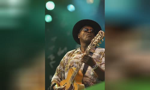 Taj Mahal (musician)
