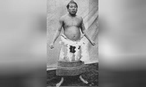 ?kido Moriemon