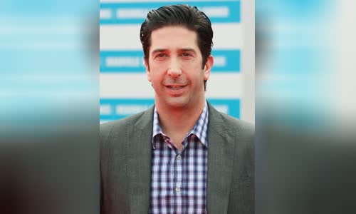 David Schwimmer