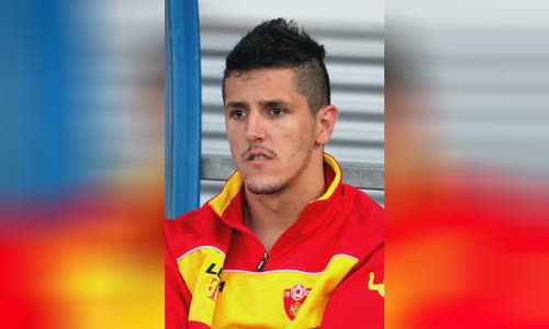 Stevan Joveti?