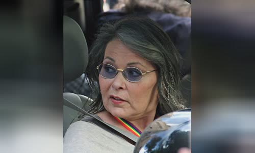 Roseanne Barr