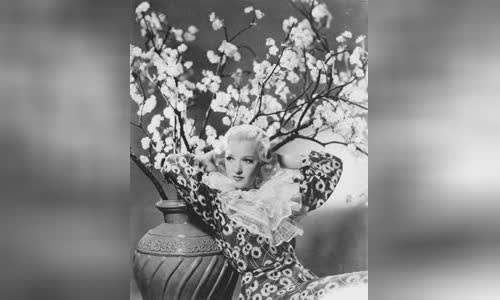Dixie Lee
