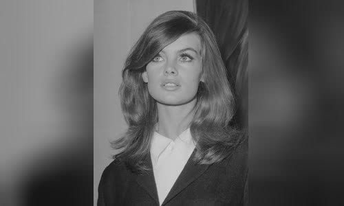 Jean Shrimpton
