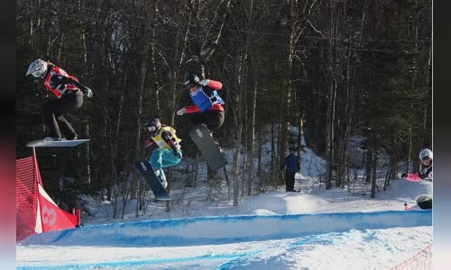 Dominique Maltais