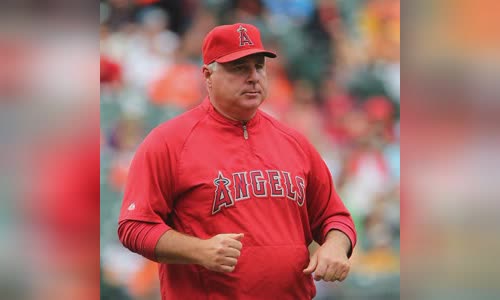 Mike Scioscia