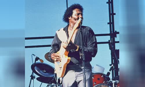 Albert Collins
