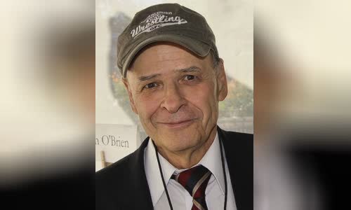 Tim O'Brien (author)