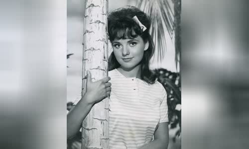 Dawn Wells