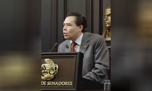 René Arce Islas