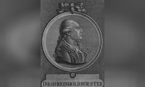 Johann Reinhold Forster
