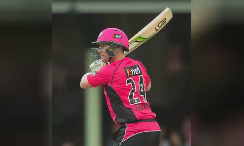 Brad Haddin