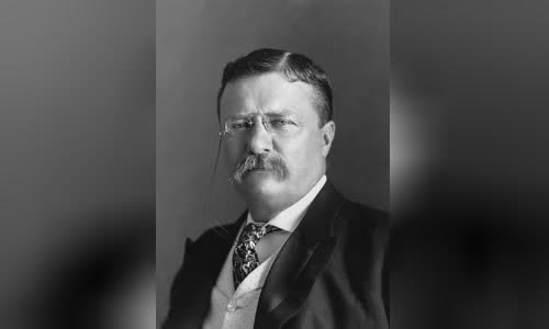 Theodore Roosevelt