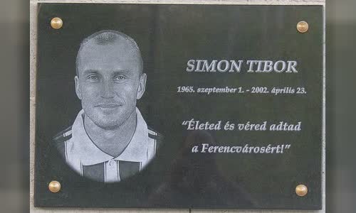Tibor Simon
