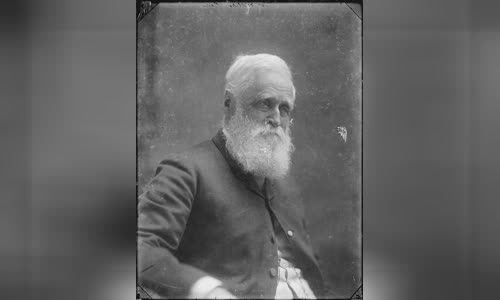William Fox (politician)