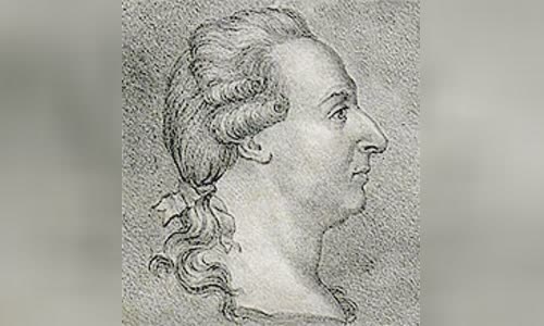 Johan Wilcke