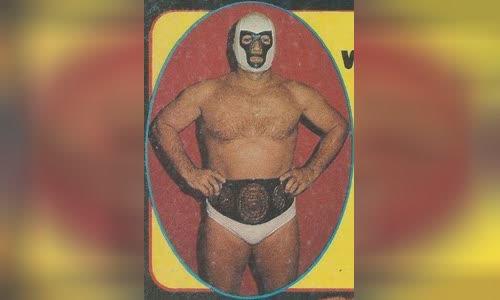 Mr. Wrestling II