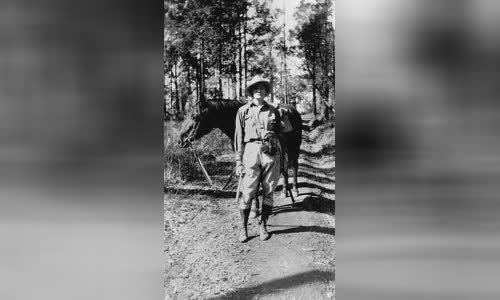 Dorothy Hill