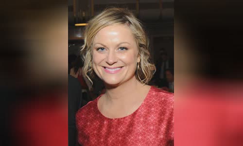 Amy Poehler