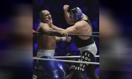 Blue Panther