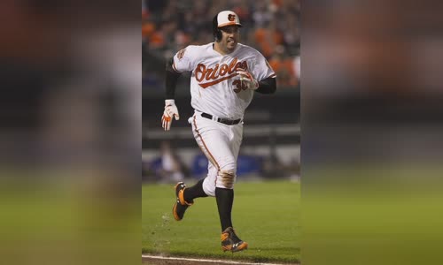 Nick Johnson (baseball)