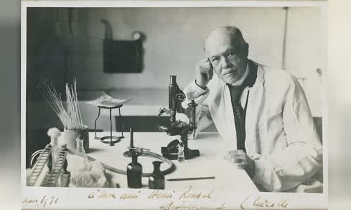 Charles Nicolle