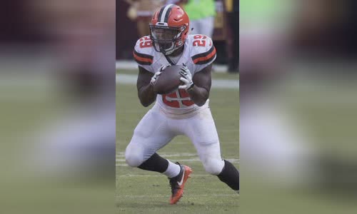 Duke Johnson