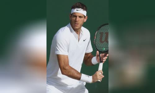 Juan Martín del Potro