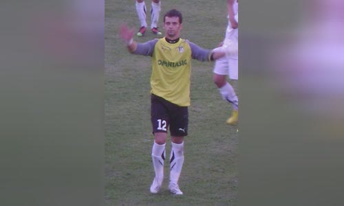 Vladimir Niculescu
