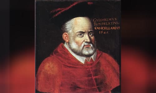 Guillaume Rondelet