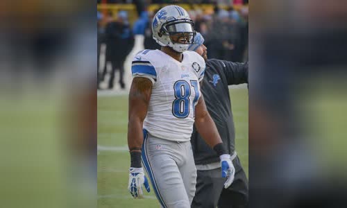 Calvin Johnson