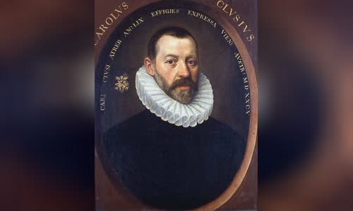 Carolus Clusius