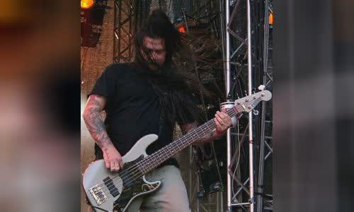 Chi Cheng (musician)