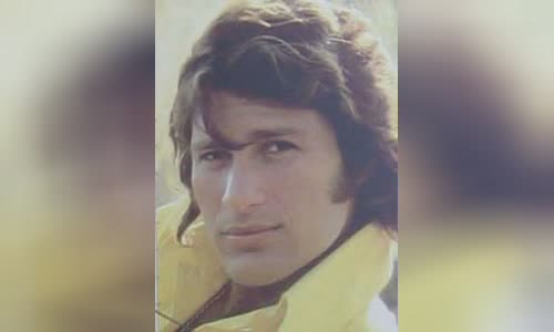 Mike Brant