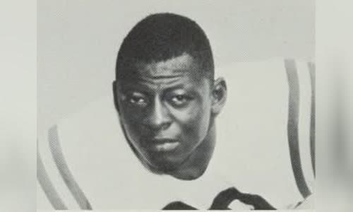 Mel Farr