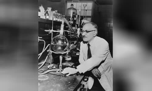 Selman Waksman