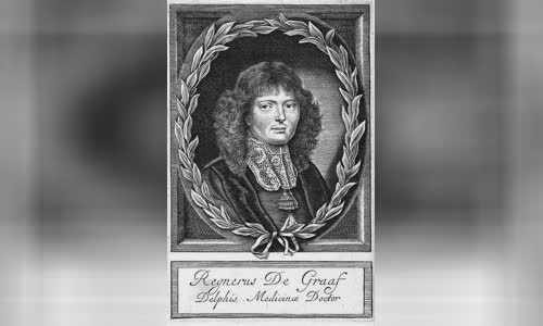 Regnier de Graaf