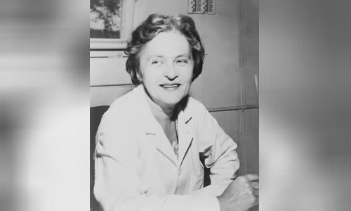 Mária Telkes