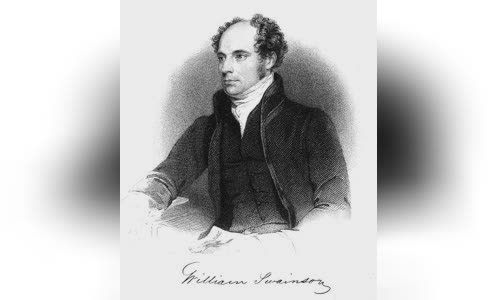 William John Swainson